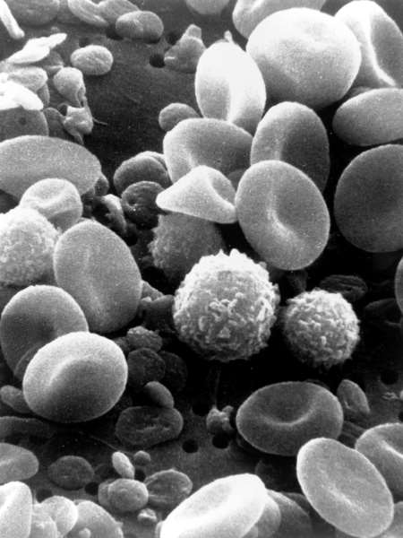 Human Helper T Cells Signaling qPCR array