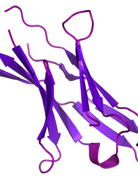 Assay kit for Abelson helper integion site 1 protein homolog (AHI-1) (ELISA)